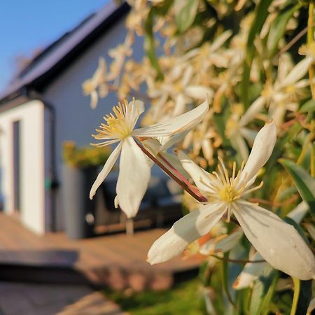 Hastings Casita, 'Little House' Self Contained Garden Lodge, Close To Town And Seafront ภายนอก รูปภาพ
