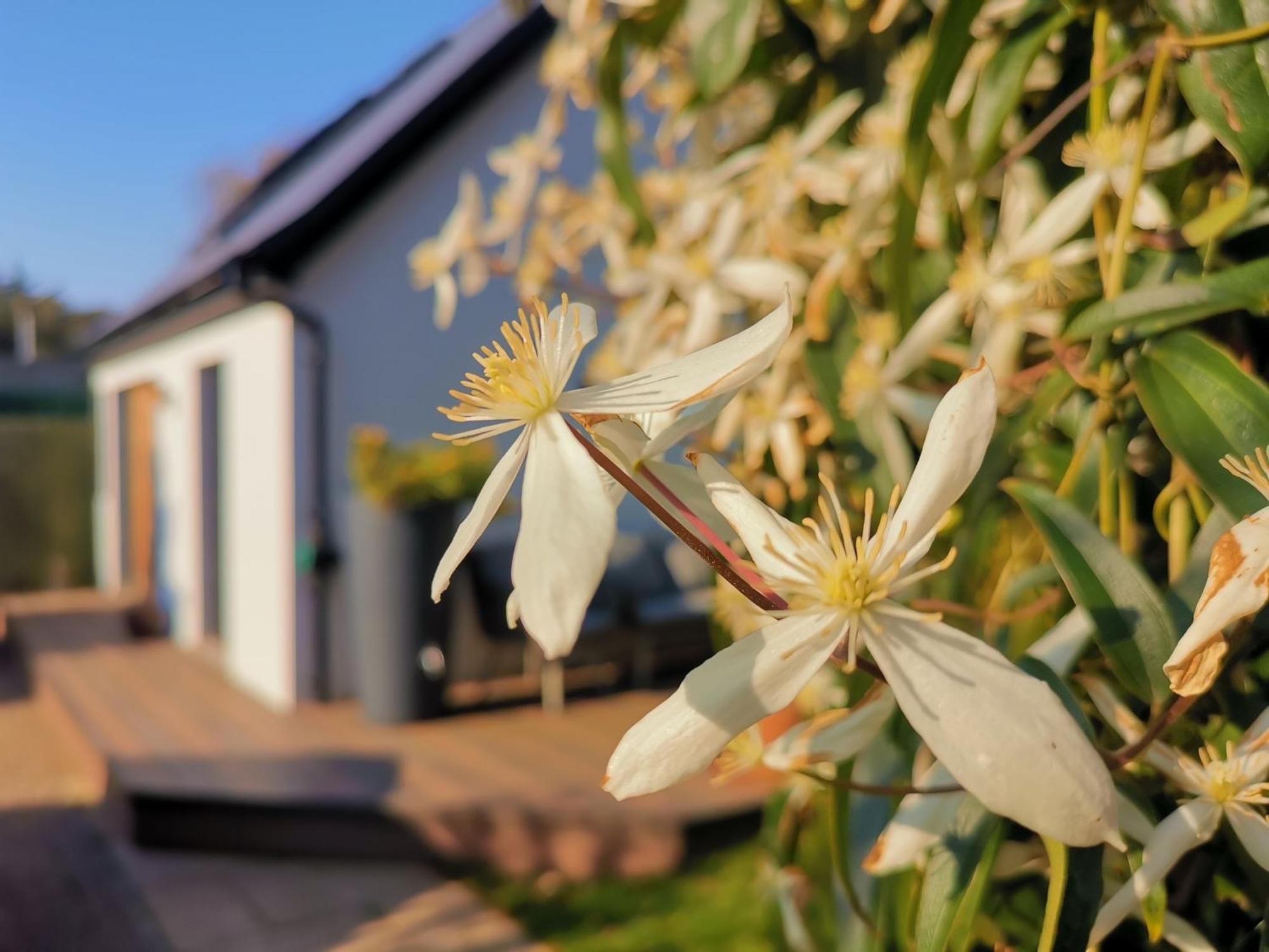 Hastings Casita, 'Little House' Self Contained Garden Lodge, Close To Town And Seafront ภายนอก รูปภาพ